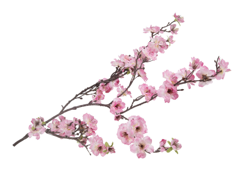 Ветка цветов