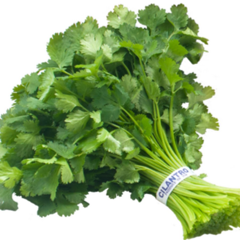 Петрушка зелень