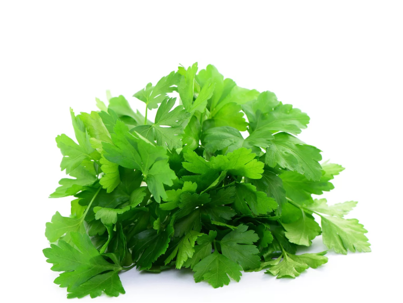 Пучок петрушки