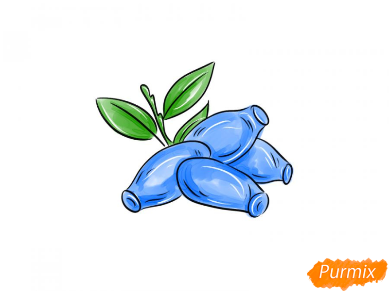 Жимолость вектор