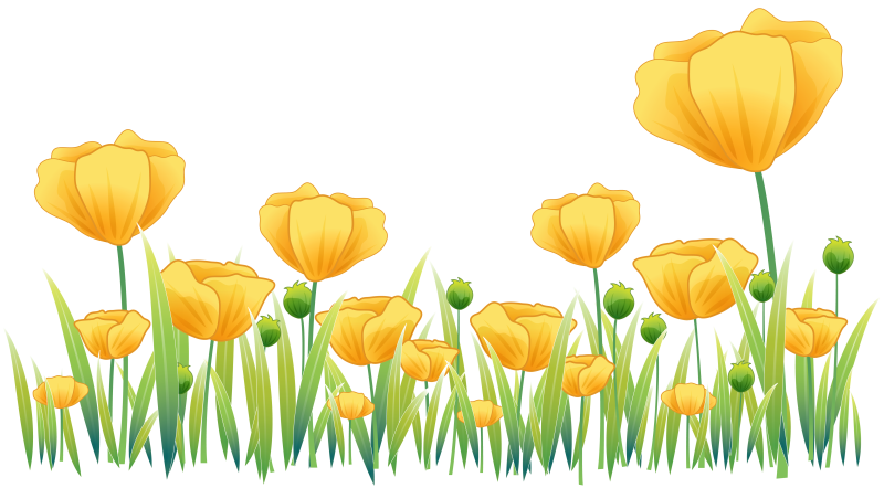 Цветы вектор на прозрачном фоне