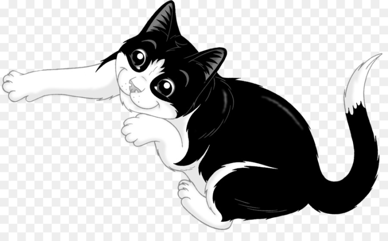 Кот Феликс корм