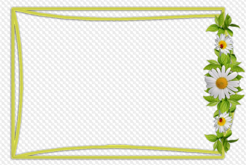Рамка ромашки