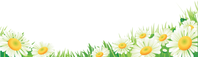 Рамка ромашки