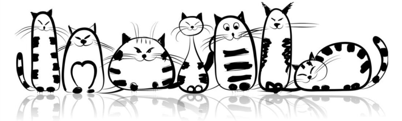 Котик рисунок