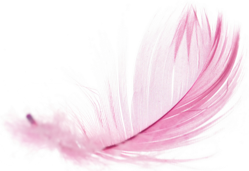Розовые перья