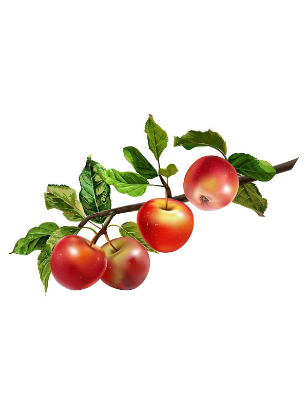 Яблоко на прозрачном фоне