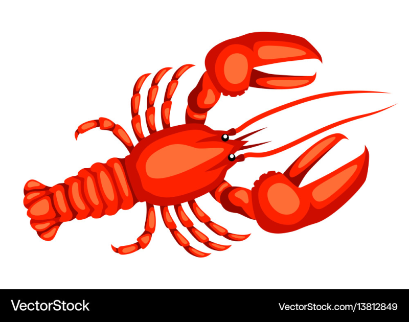 Лобстер на белом фоне