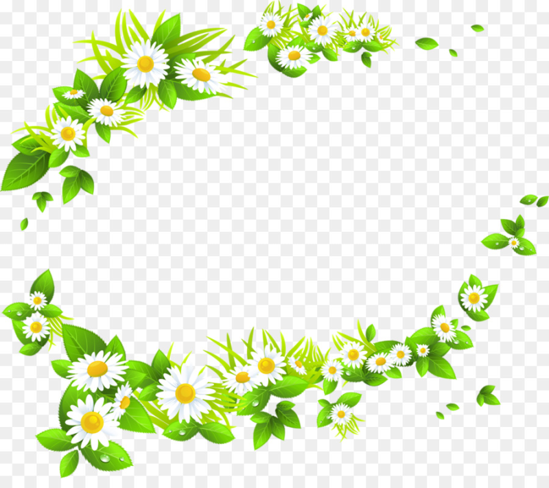 Рамка ромашки