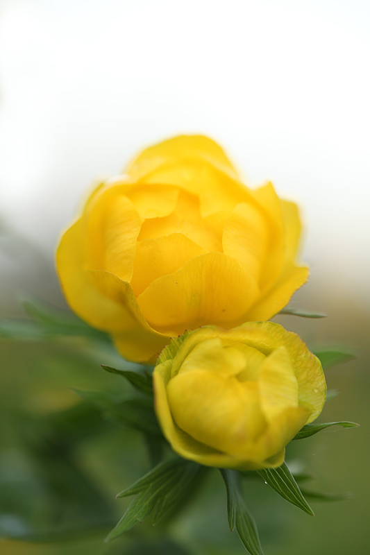 Удмуртия Италмас