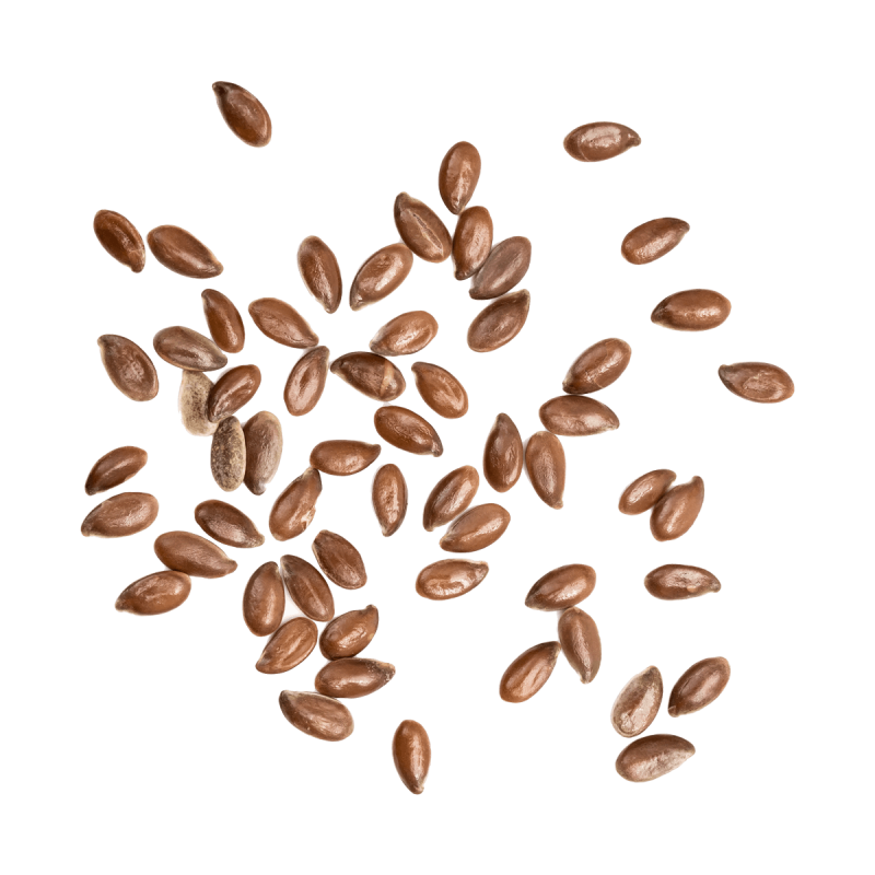 Семена пшеницы без фона