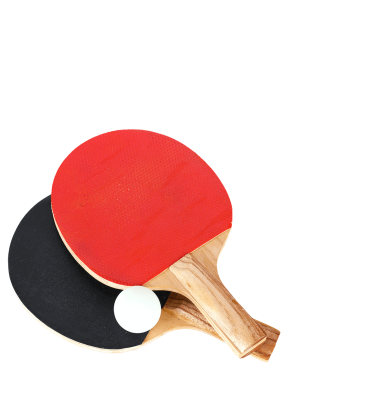 Ракетки для настольного тенниса пинг-понг