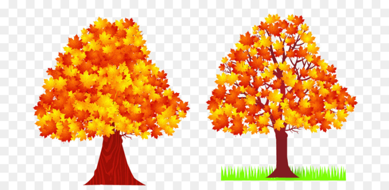 Осеннее дерево мультяшное