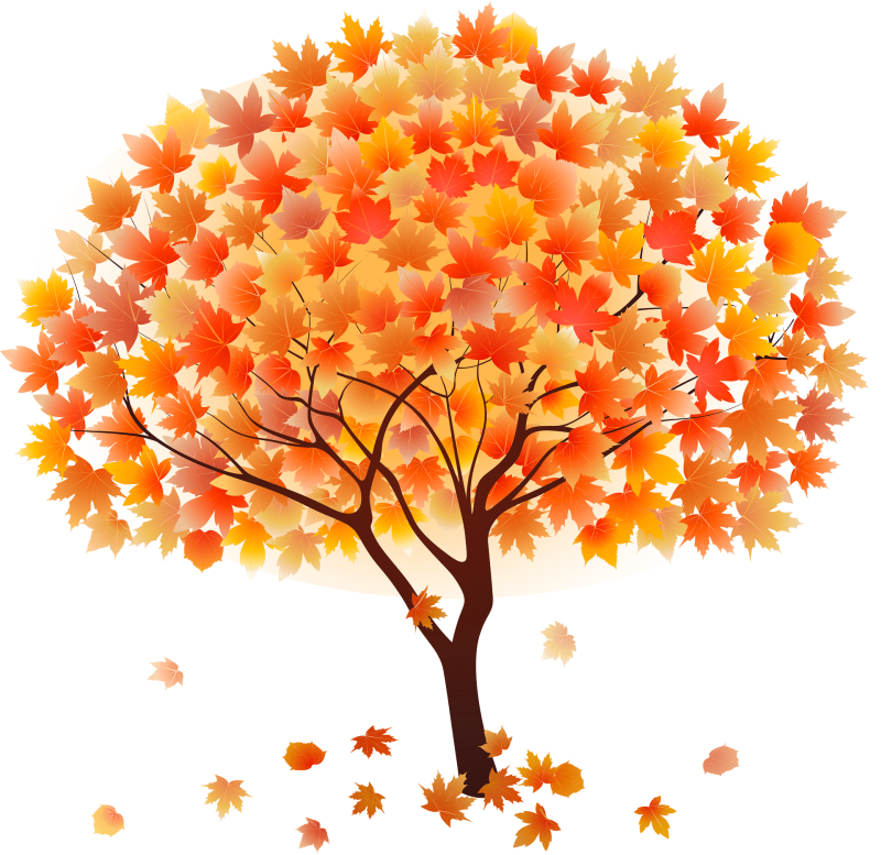 Осеннее дерево