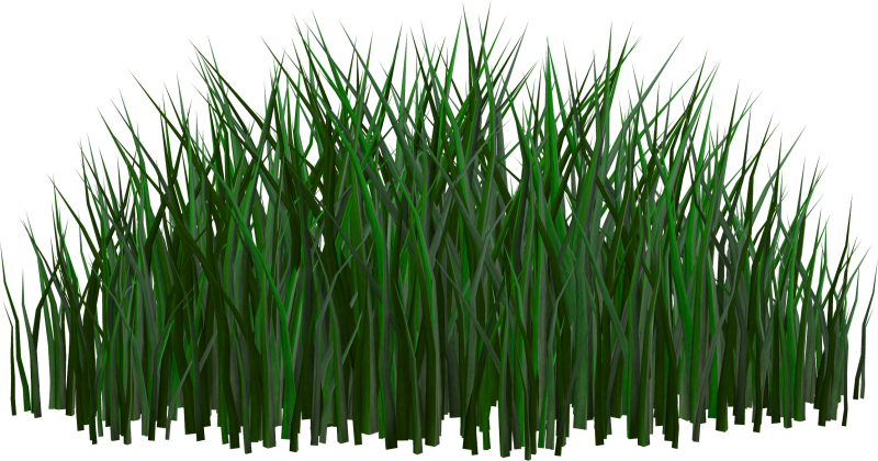 Трава на прозрачном