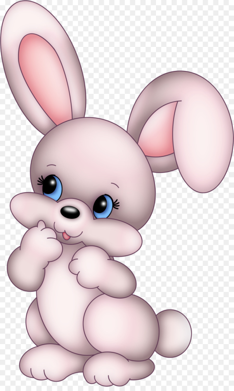 Рэббит заяц