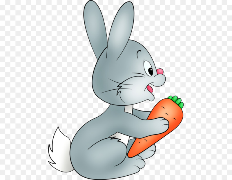 Картун рэббит
