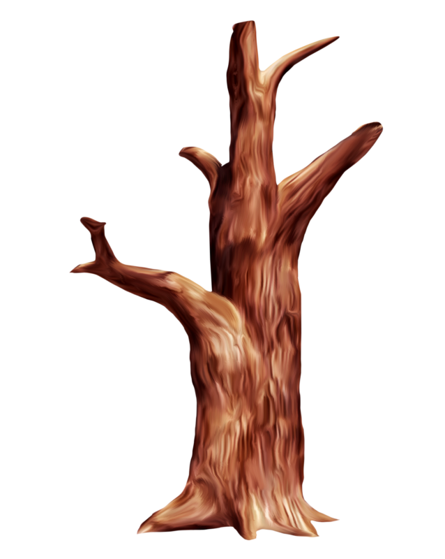 Нарисовать ствол дерева