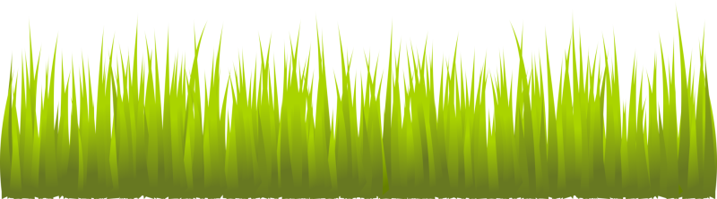 Трава на прозрачном фоне