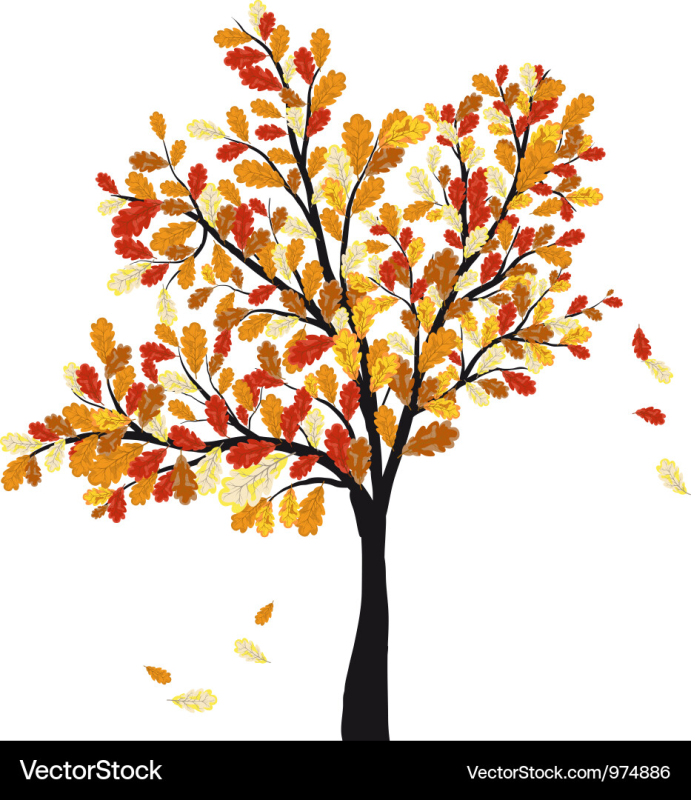 Осеннее дерево на белом фоне