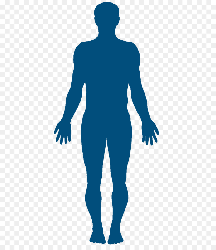 Очертание человека