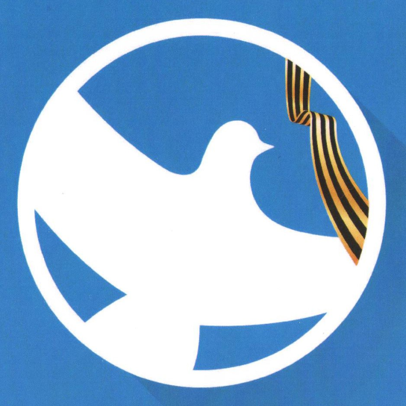 Волонтеры Победы