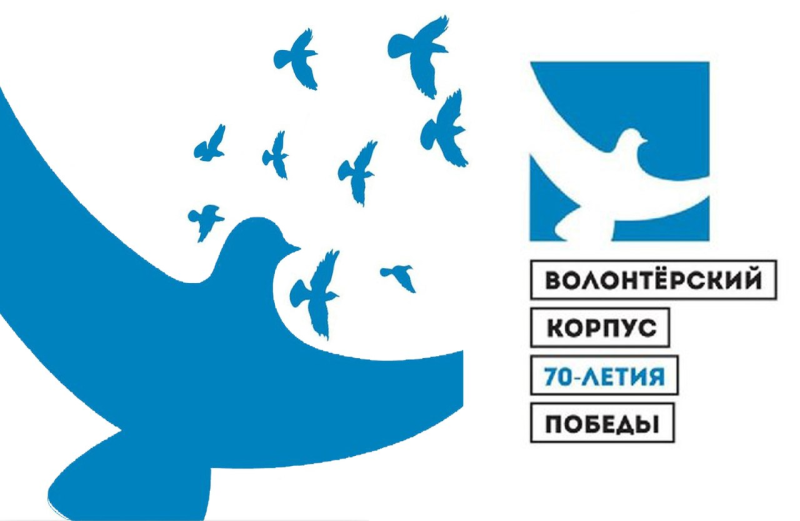 Волонтеры Победы логотип