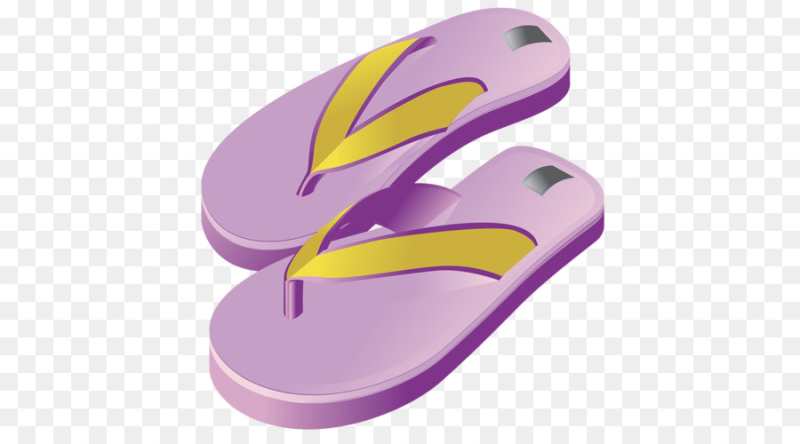 Сланцы Flip Flops