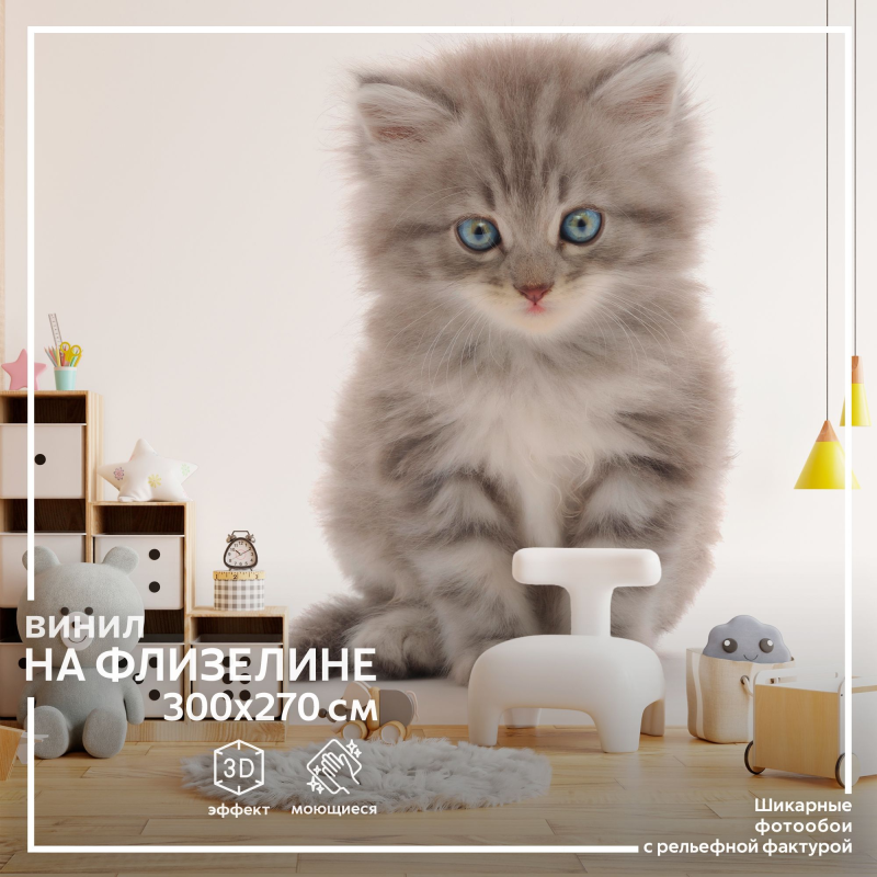 Пушистый котенок на белом фоне