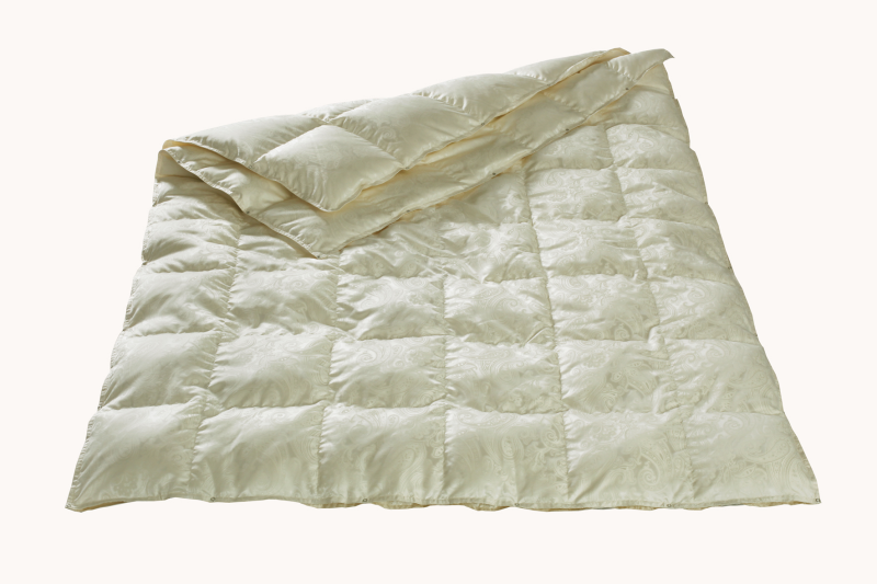 «Стёганые одеяла» — вендобионты