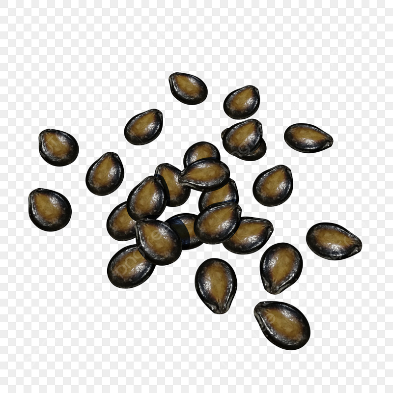 Семена арбуза для детей