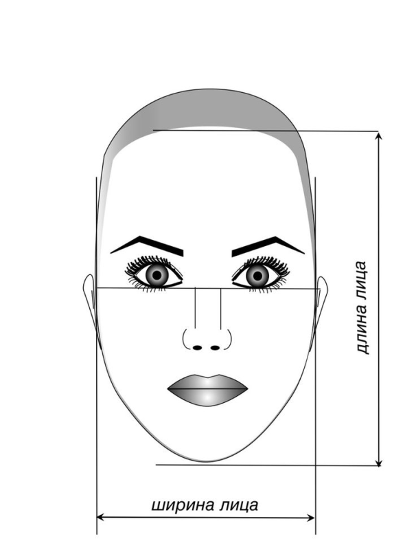 Идеальные пропорции лица