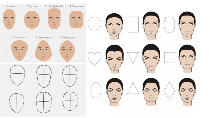 Формы лица схема