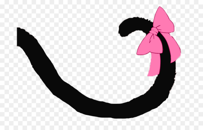 Кот с хвостом