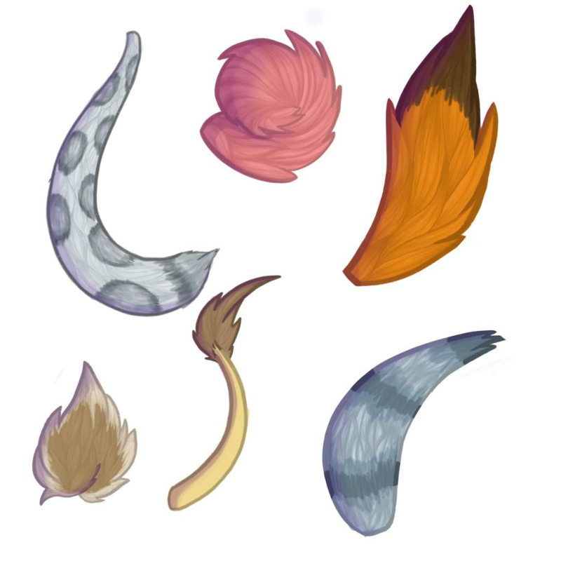 Лисий хвост рисунок