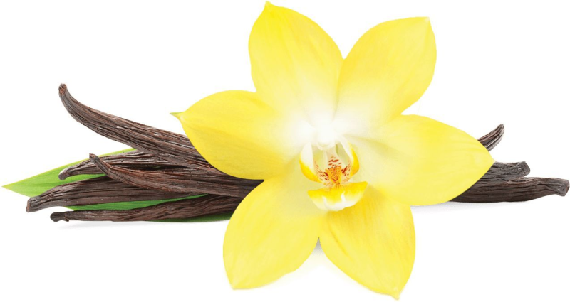 Таитянская ваниль