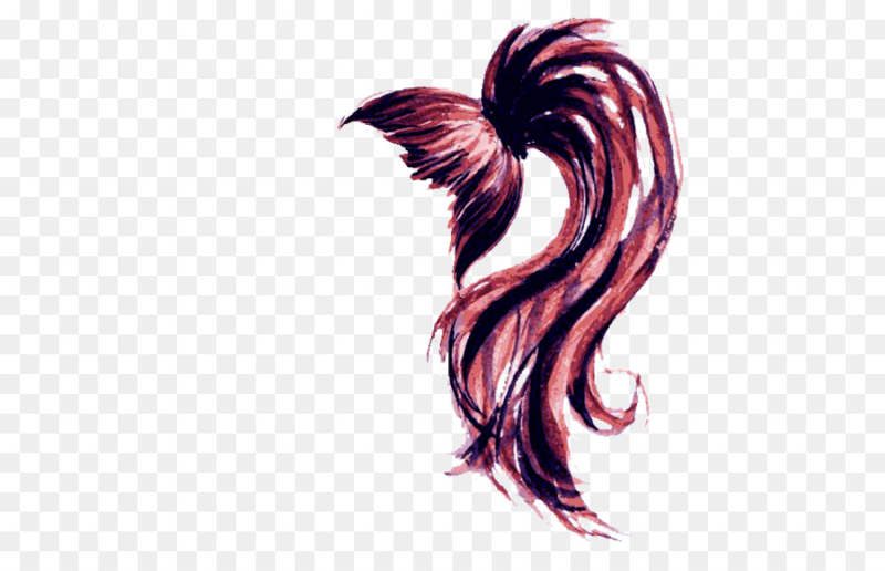 Хвост рисунок