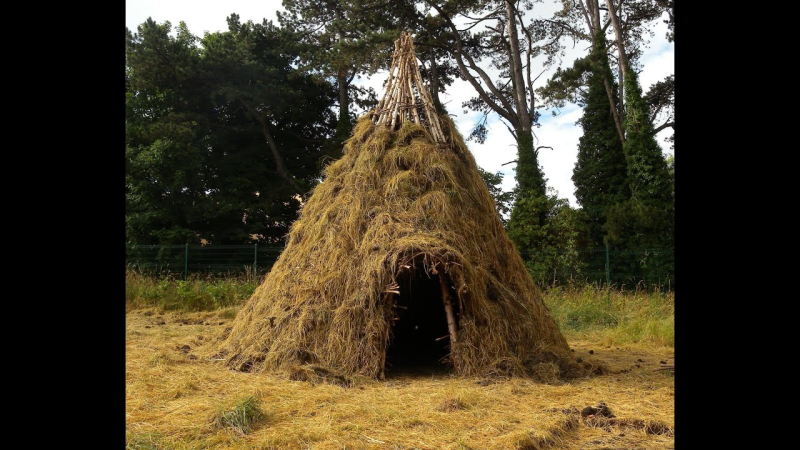 Картина шалаш