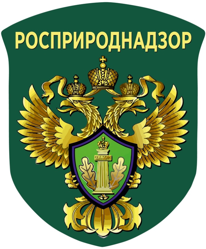 Росприроднадзор иконка