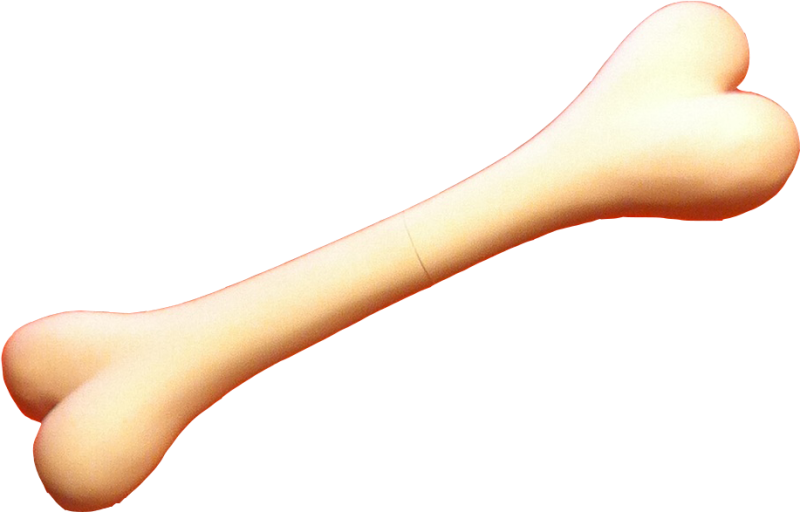 Косточка на прозрачном фоне