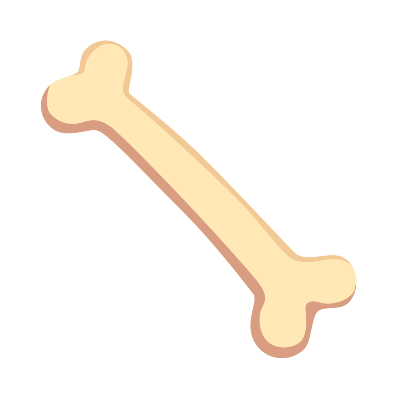 Косточка для детей