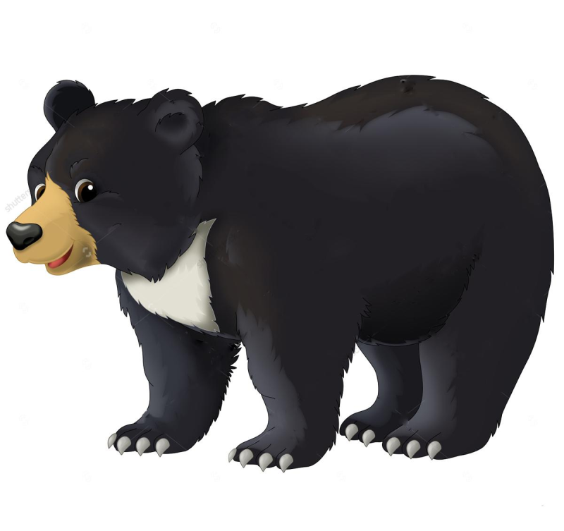 Гималайский медведь вектор