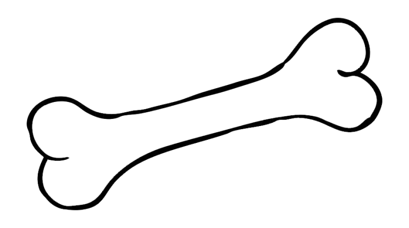 Косточка раскраска для детей