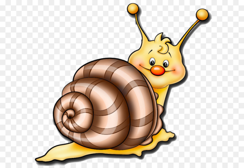 Улитка на белом фоне