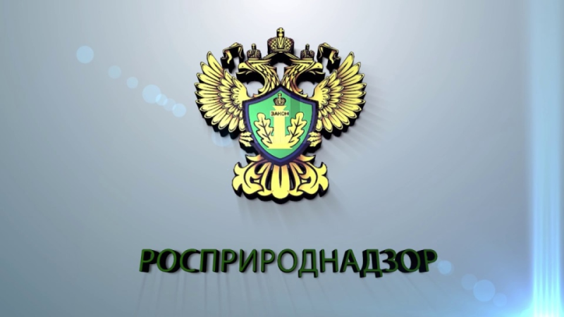 Природоохранная прокуратура