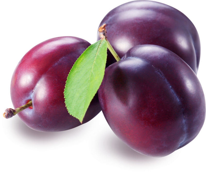 Слива Анжелина