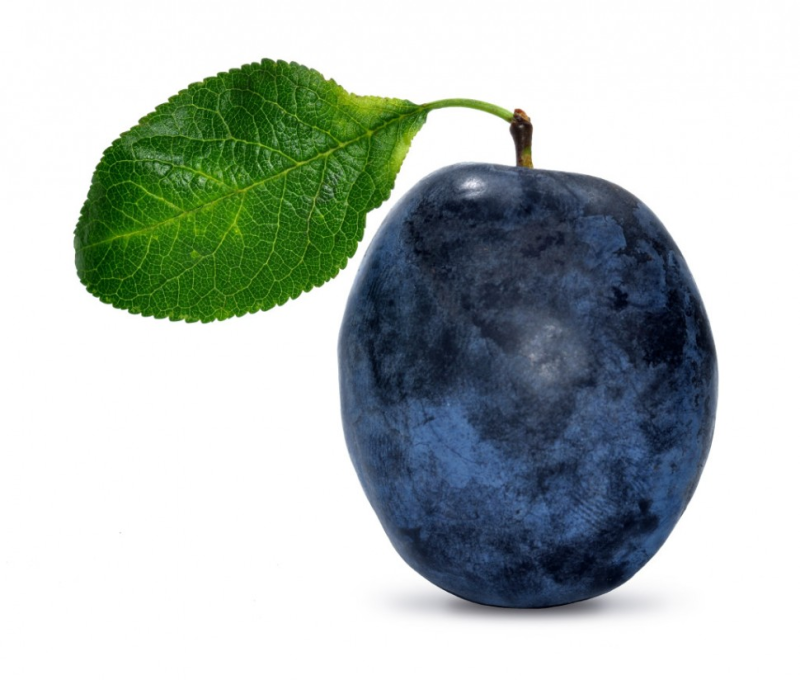 Слива на белом фоне