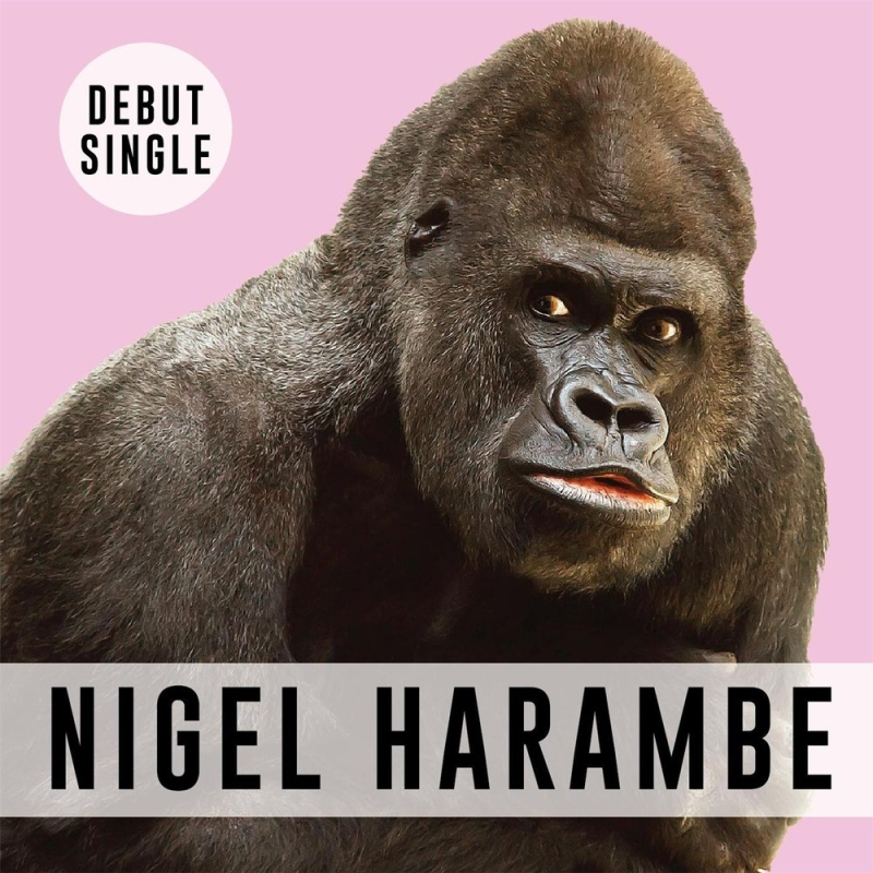 Горилла и шимпанзе