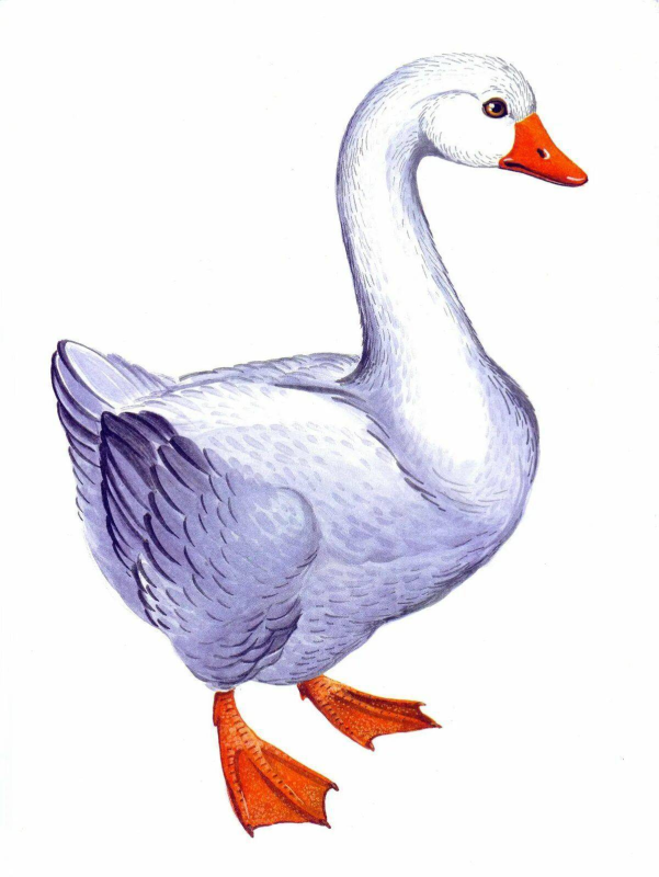 Гусь мультяшный