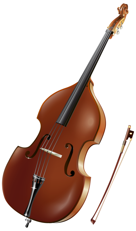 Контрабасовая Виола